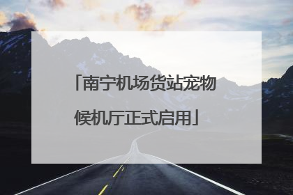 南宁机场货站宠物候机厅正式启用